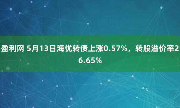 盈利网 5月13日海优转债上涨0.57%，转股溢价率26.65%